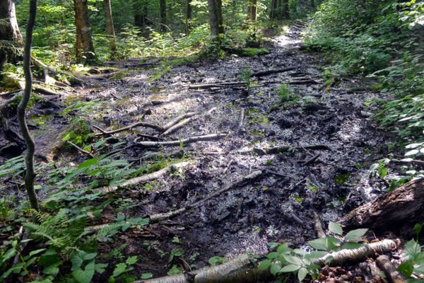 The Inside Dirt on Vermont’s Mud Season