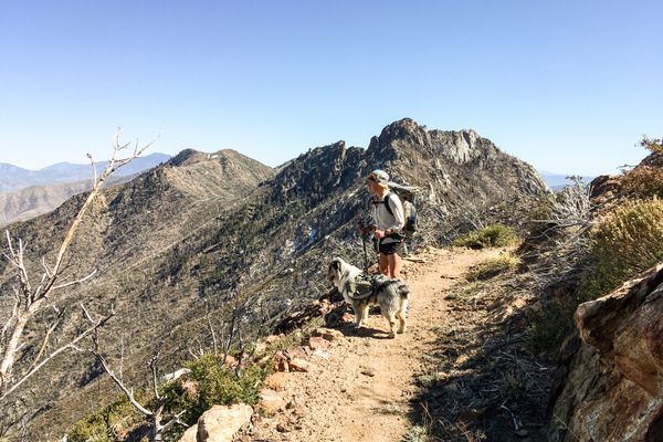 Mountain Fire Closure is Lifted. Here’s What it Took to Repair this Section of the PCT