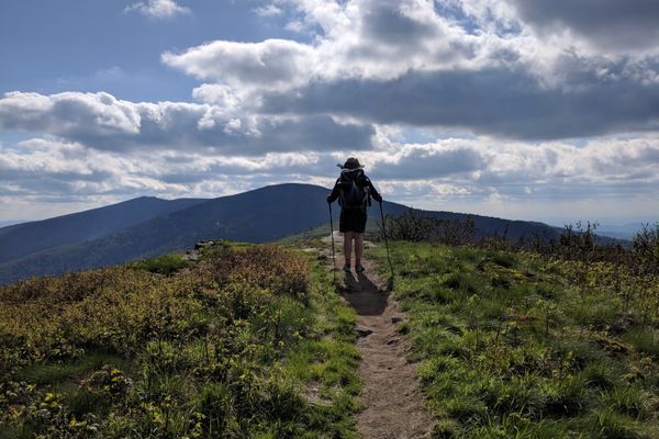 Mountaintop Camping, Rescuing Dogs, Roan Highlands, and Side Quest to Trail Days