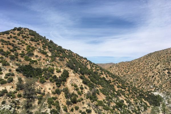 Three Weeks of the PCT: A Daily Diary