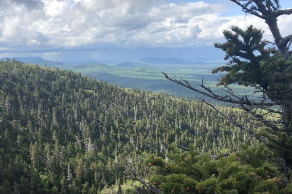 #1 the 100-Mile Wilderness and Katahdin