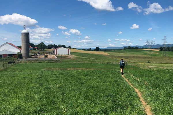 The Pennsylvania Pouts: Trail Update Seven