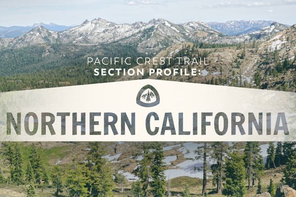 Pacific Crest Trail Section Profile: Northern California