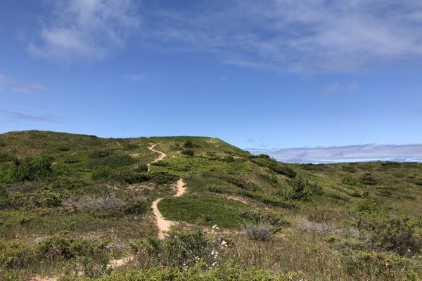 Trekking the North Country Trail