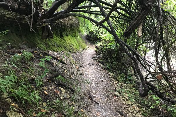 The Bumpy Road That Led Me to Thru-Hike the AT
