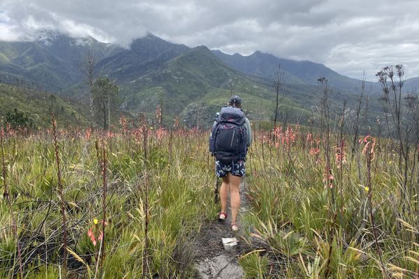 The Outeniqua Trail: 68 Miles in the Heart of the Garden Route, South Africa