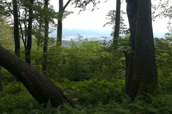 Solo Hiking the Laurel Highlands