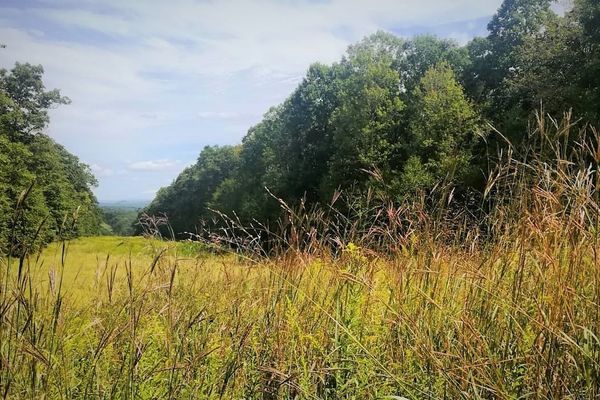 Solo Hiking the Laurel Highlands; The Last 35