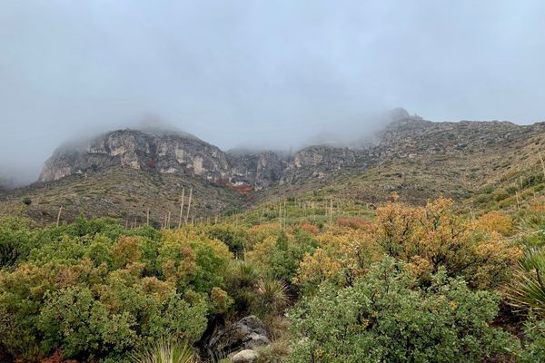 Should I Stay or Should I Go? Thru-Hiking During a Pandemic