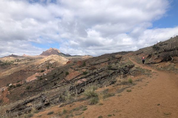 Colorado Trail Segment 2: The Burn Scar