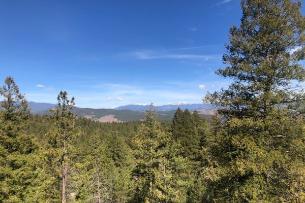 Colorado Trail Segment 3: The Bikers