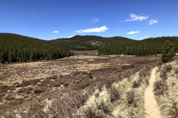 Colorado Trail Segments 4-5: The Bail