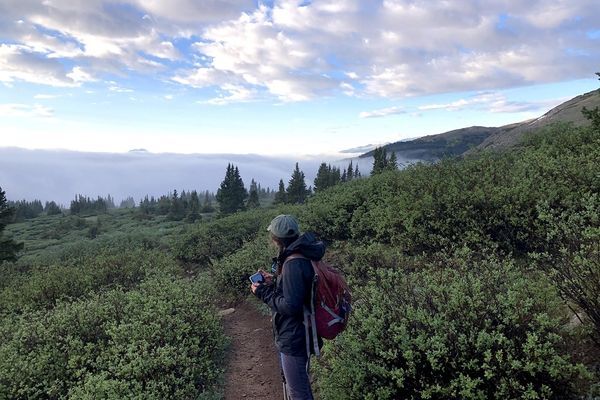 Colorado Trail Segment 10 and Mount Massive: The Clouds