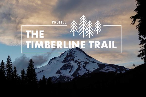 How to Hike the Timberline Trail: 42 Stunning Miles Around Mount Hood