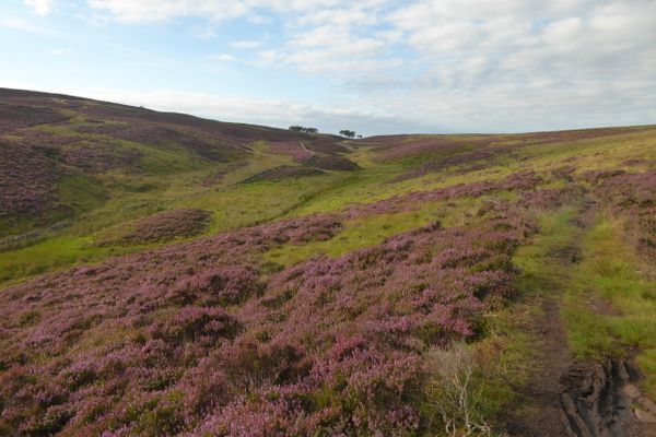 The SNT – Kirk Yetholm to Edinburgh