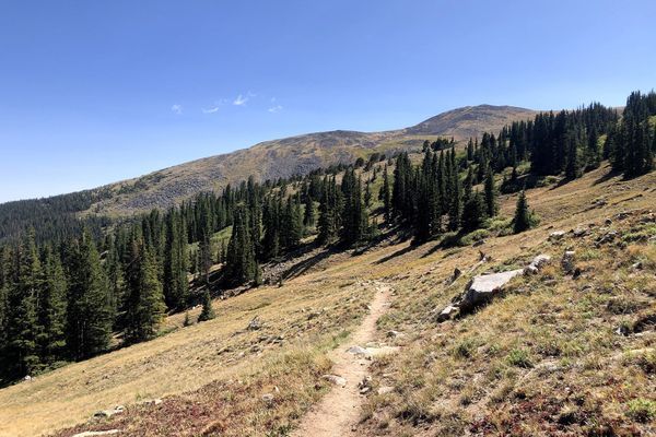 Colorado Trail Segment 11B-12: The Solo Trip