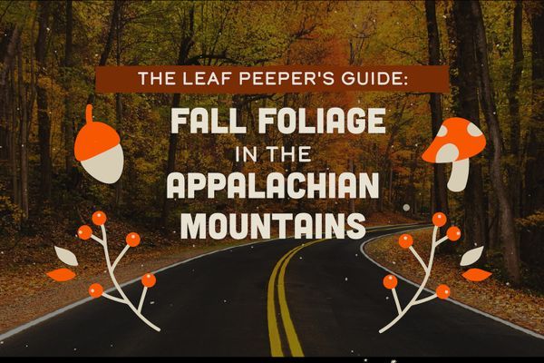 The Leaf Peeper’s Guide to Fall Foliage Hikes in the Appalachian Mountains