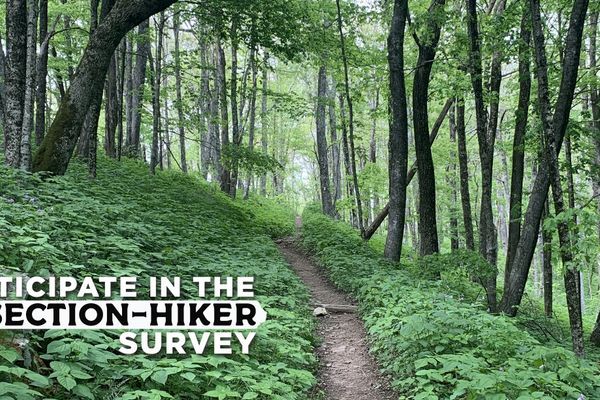 Appalachian Trail Section Hikers: Share Your Experiences with Us!