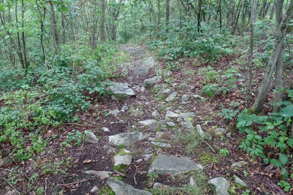 NoBo Thru-hike Training – Love and Hate for Pennsylvania Rocks