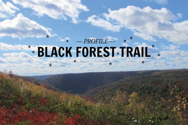 The Black Forest Trail: 43 Miles of Pennsylvania’s Beautiful Forests