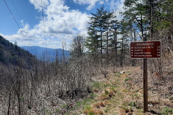 The First 100 Miles of the Benton MacKaye Trail: When Disaster Strikes