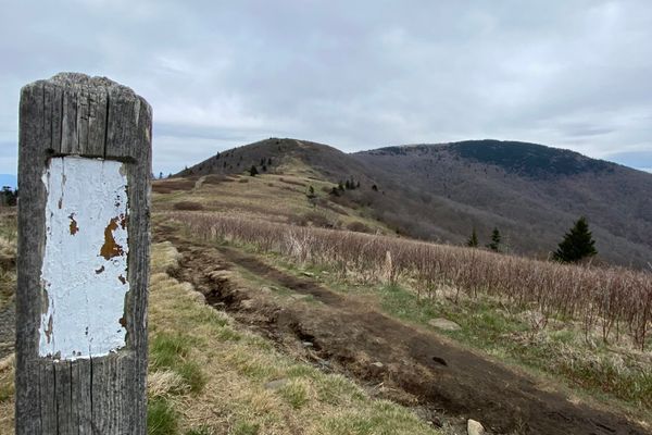 The Roan Highlands: AT Days 26-28