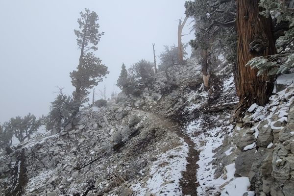 Sand to Snow on the PCT – Day 11-14