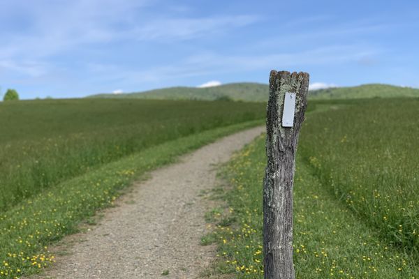 ATC to Resume 2000-Miler Program, Says Thru-Hikes Now “Safer”