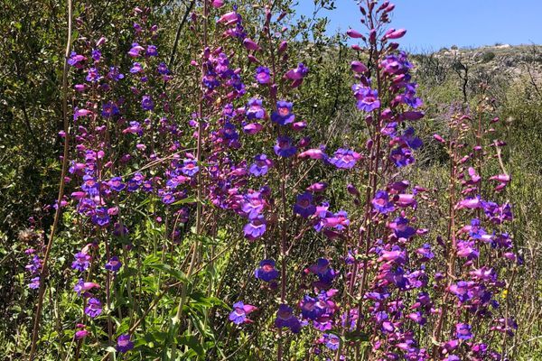 The Art of Beginning the PCT