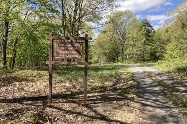 Mid State Trail days 4-6: Everett to Williamsburg