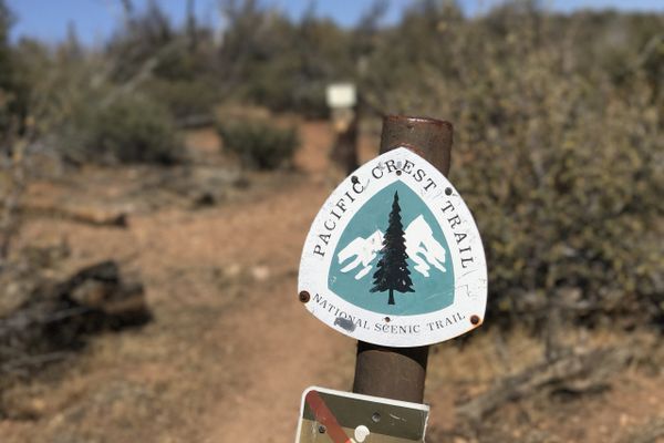Hiker Dies on PCT Near Paradise Valley Cafe Amid Record Heatwave