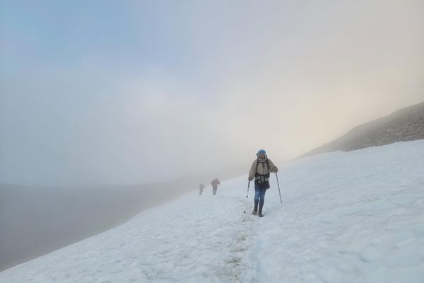 Gratitude on the Pacific Crest Trail