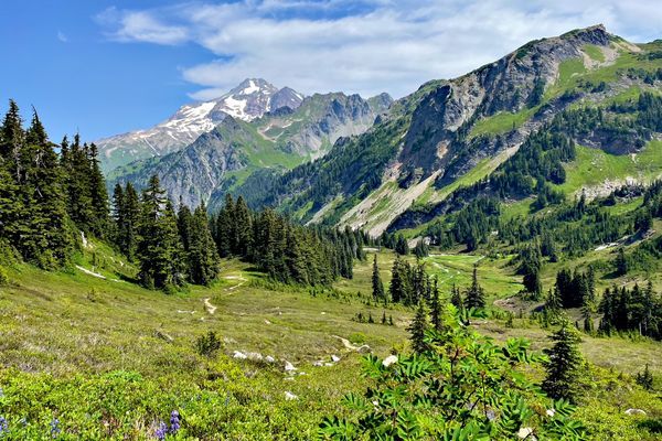 Views and Bugs: Northern Washington in a Nutshell