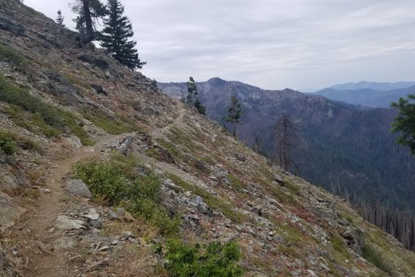 Northern California:  Mount Shasta to Marble Mountain Wilderness (July 17-27)