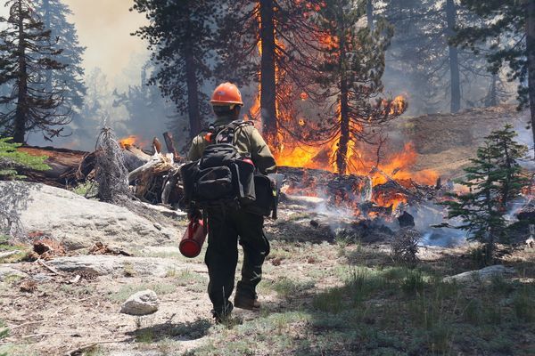 All CA National Forests, Including PCT, Closed Due to Fires