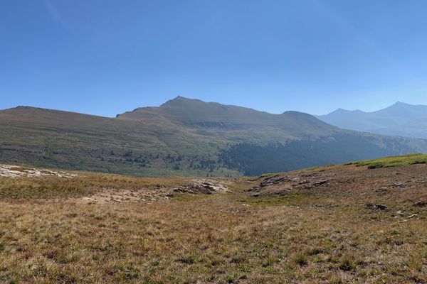 Colorado Trail Segment 8: The Sheep