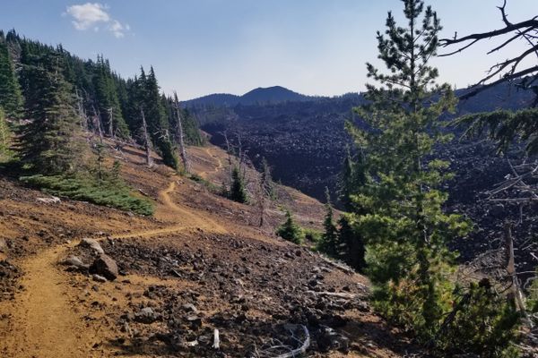 Experiencing Oregon (August 3-12)