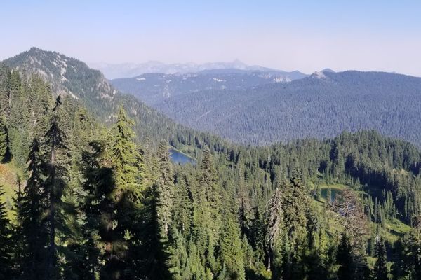 Hiking with Daniel:  White Pass to Chinook Pass, WA (August 28-30)