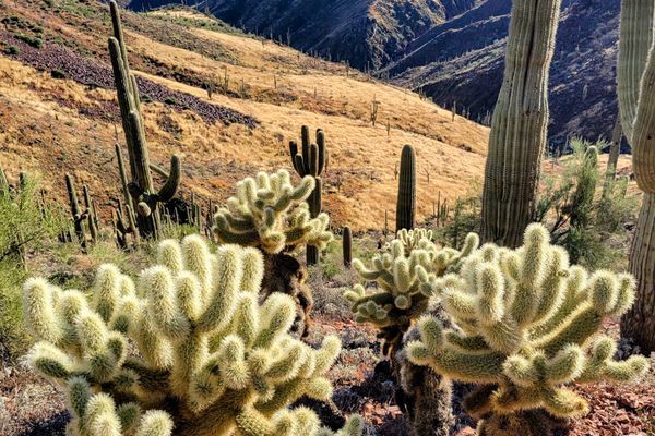 Arizona Trail SOBO Thru-Hike Part 1