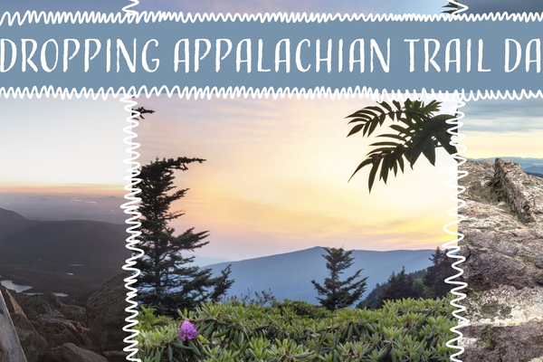 Top 5 Appalachian Trail Day Hikes with Unforgettable Views