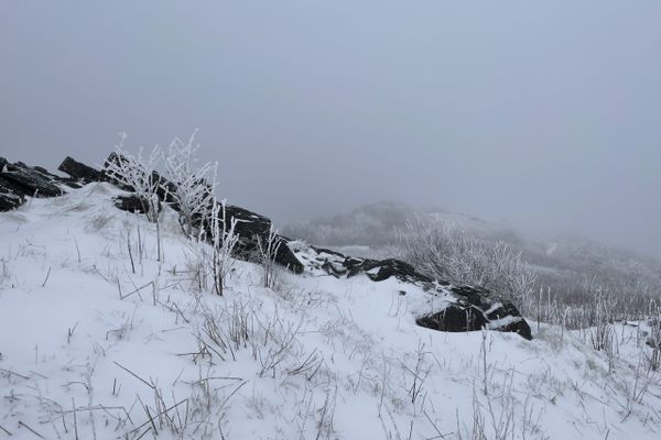 Snow on Roan Mountain