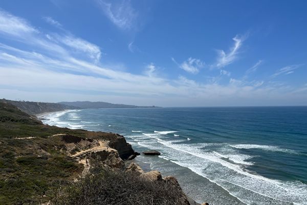 These Palm Trees are Different: Exploring San Diego