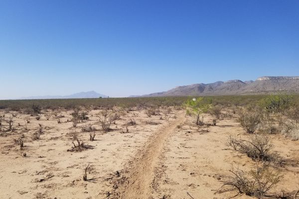 Beginnings: Hachita to Gila National Forest (April 30- May 7)