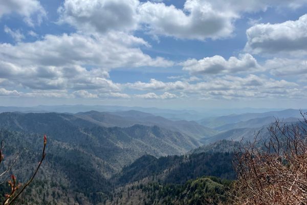 Stories from the Smokies and Beyond