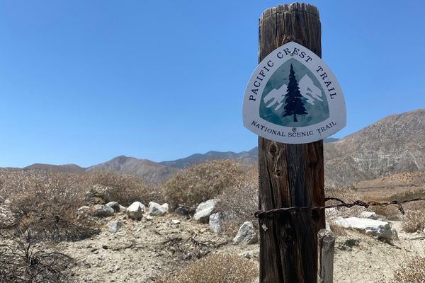 1 Month on the PCT: A Whirlwind of Miles, Bouncing Back from Injury, and Memories to Last a Lifetime