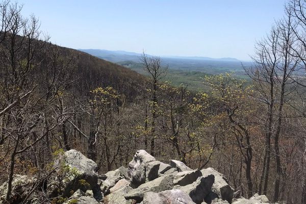 54 Miles of Northern Virginia in April: Harpers Ferry to Front Royal, Part 1