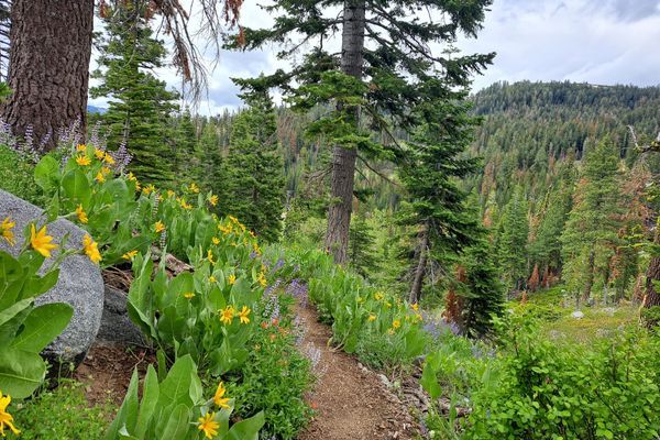 Finding Your Trail Name after 700 Miles