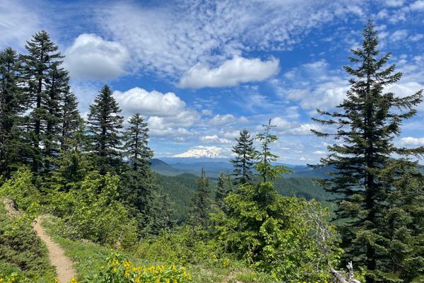 Day 4 of Cascade Locks to Trout Lake