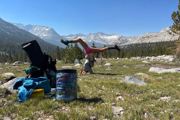 Pacific Crest Trail: Bears!