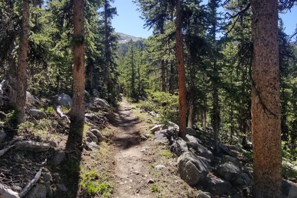 Finding Respite on the Collegiate East Trail (June 15-21)